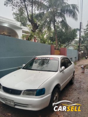 111 CAR (SEDAN) TOYOTA M CROP.