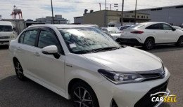 Toyota Axio 2019 Recondition Car