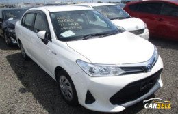 Axio Hybrid 2019