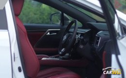 Lexus RX 300 F Sport 2020 Reacondition Car Sale